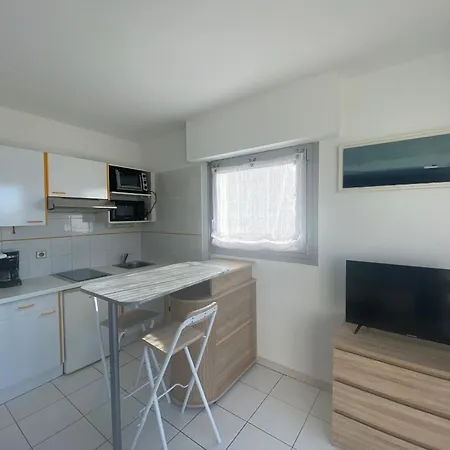 Appartement Charmant T2 A 350m De La Plage Avec Terrasse Et Garage A - Fr-1-539-44